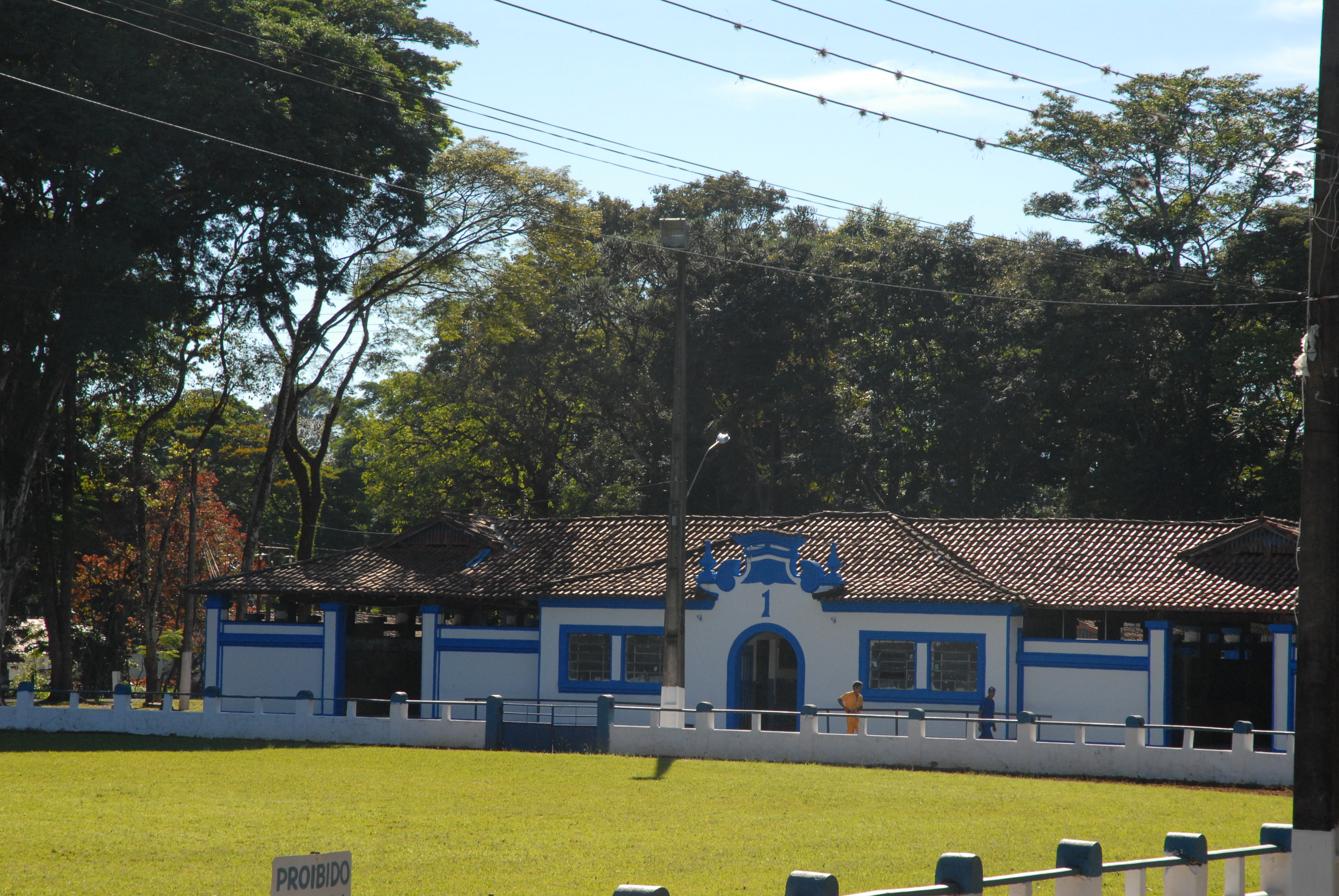 Parque Fernando Costa é revitalizado