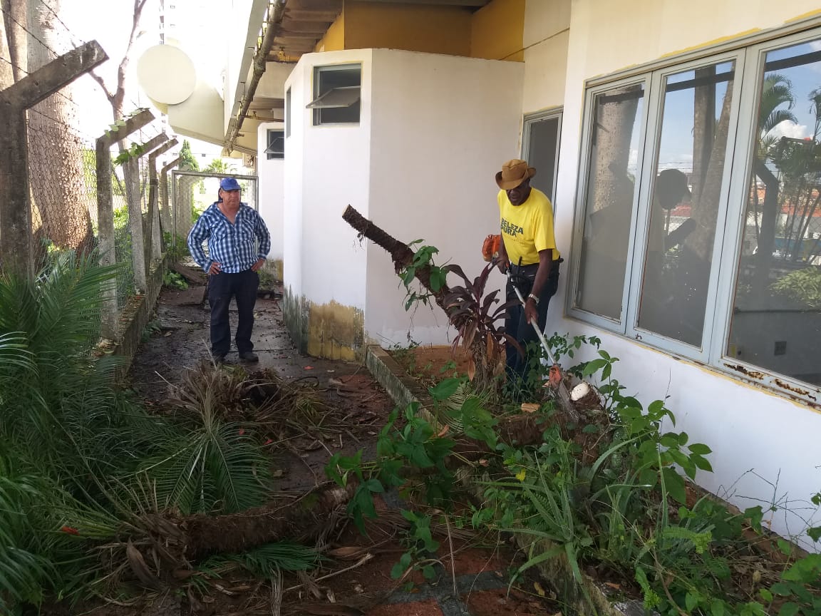 Secretaria de Serviços poda mais de 100 árvores por mês