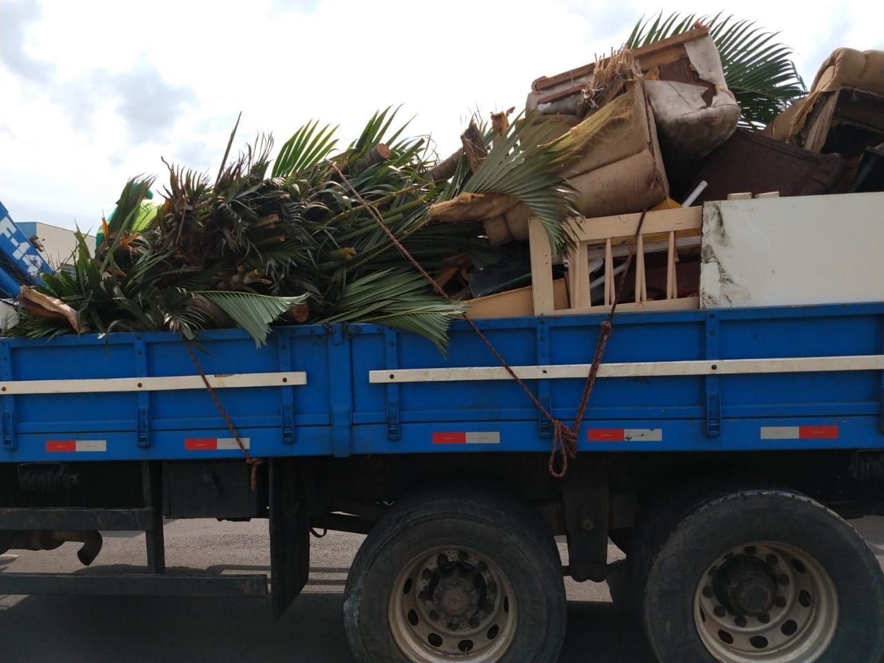 Arrastão da Limpeza coleta 15 toneladas de material