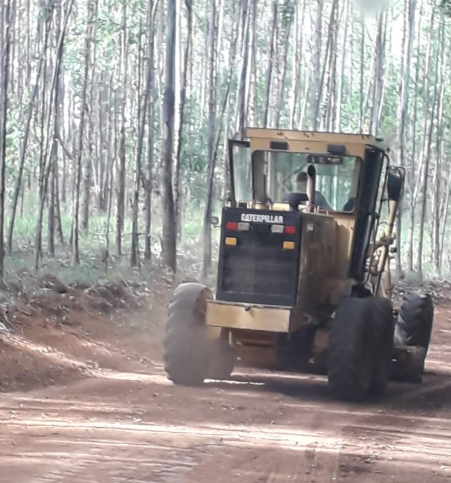Estradas continua recebendo cuidados