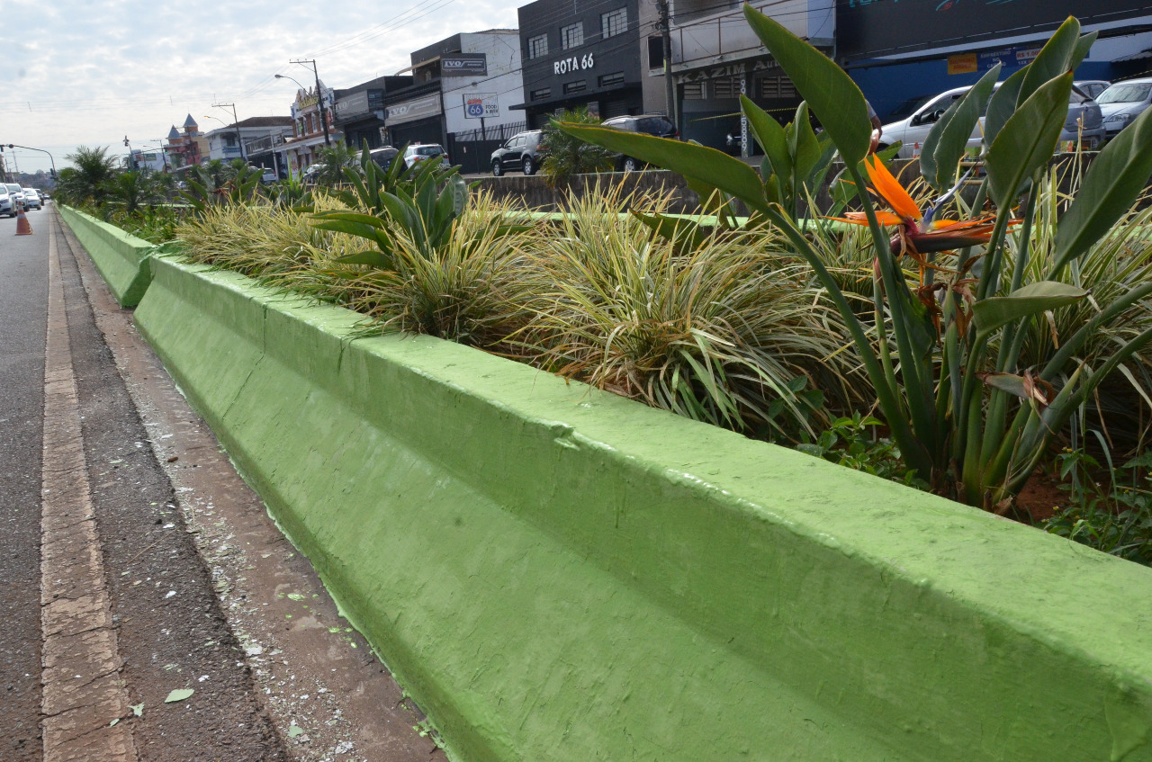 Revitalização nas margens do Córrego dos Bagres
