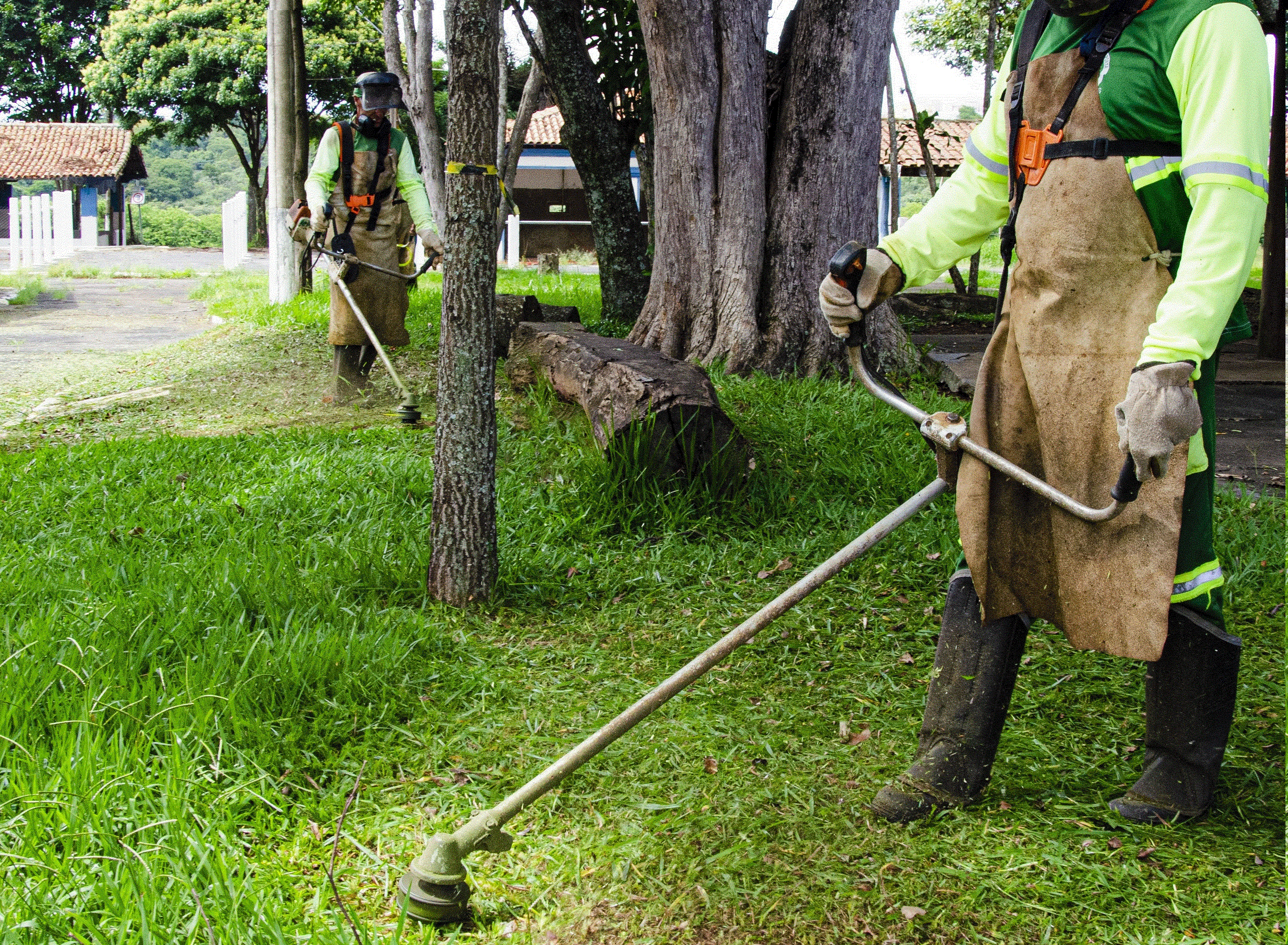 Prefeitura intensifica podas e limpezas nas áreas públicas