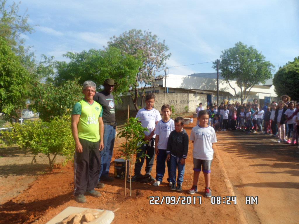 Semana da Árvore chega ao fim com diversas ações realizadas