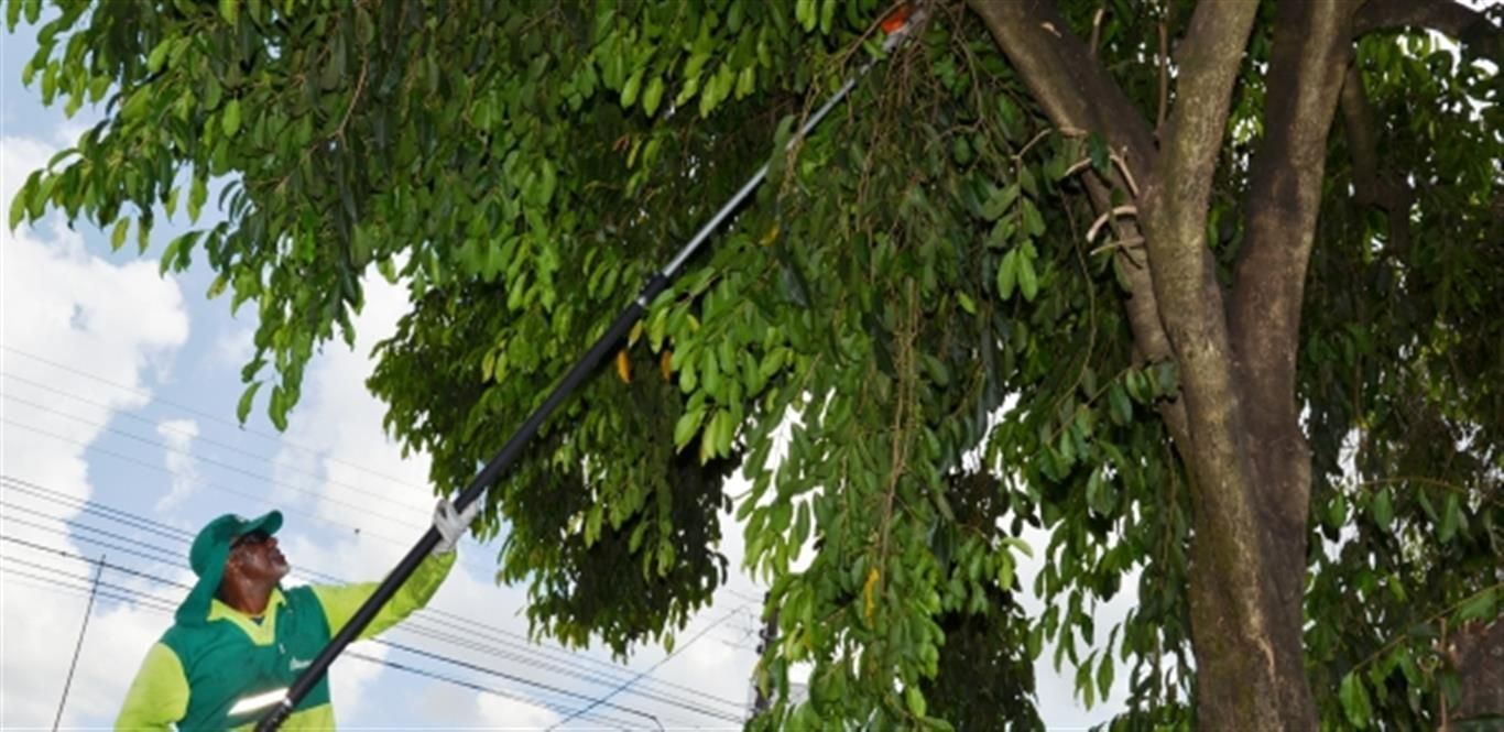 Secretaria de Serviços e Meio Ambiente faz manutenção no Centro