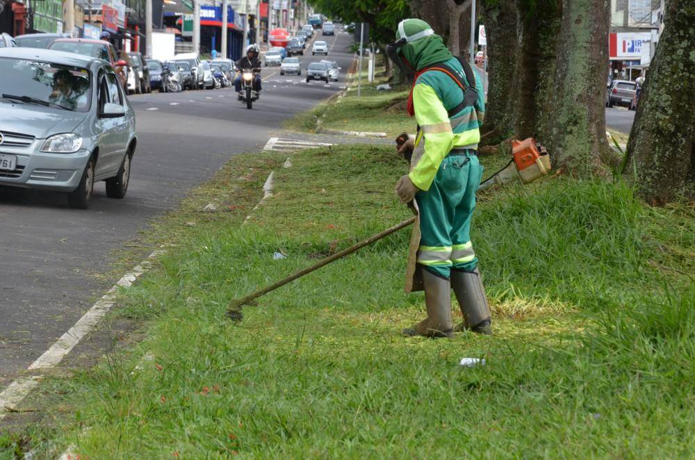 Serviço de podas é intensificado em praças e canteiros