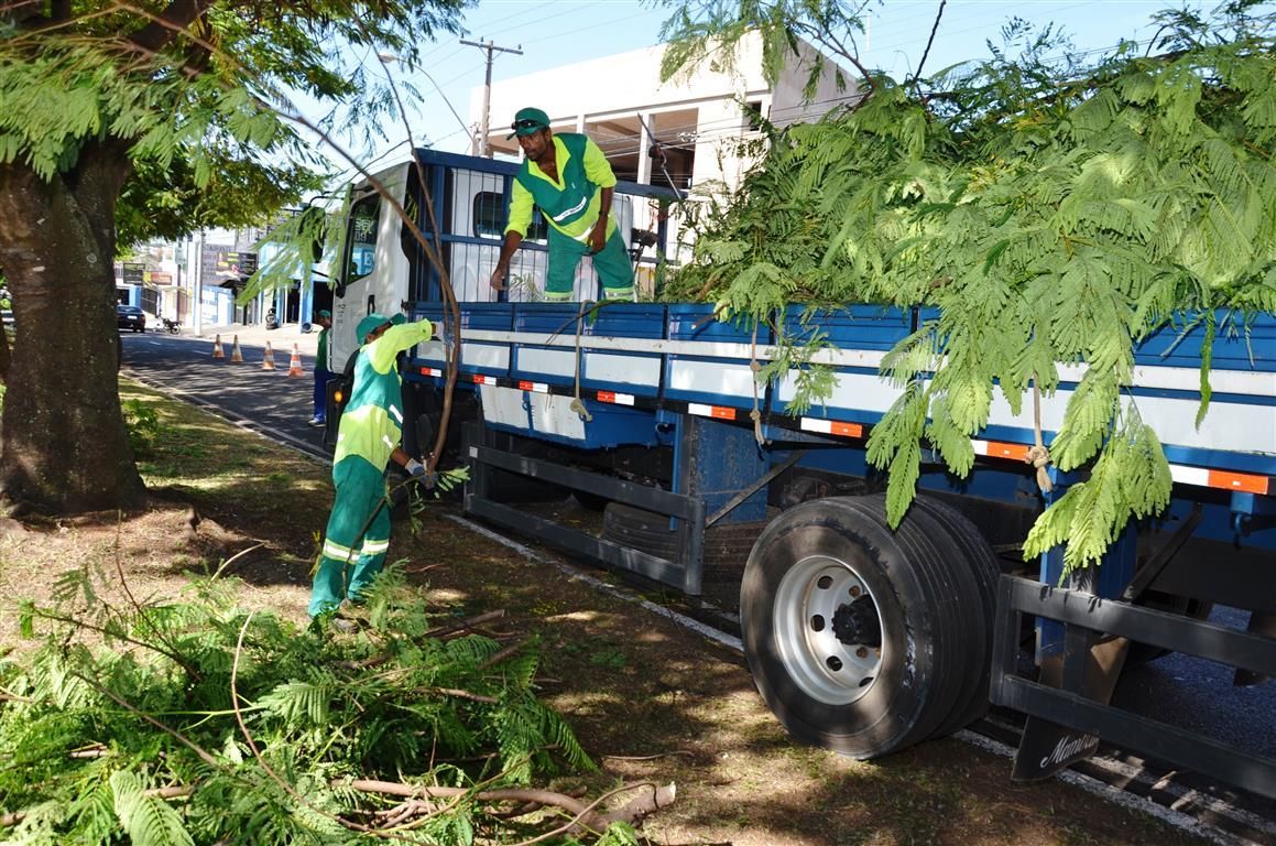 Prefeitura reforça limpeza e podas de árvores em áreas públicas