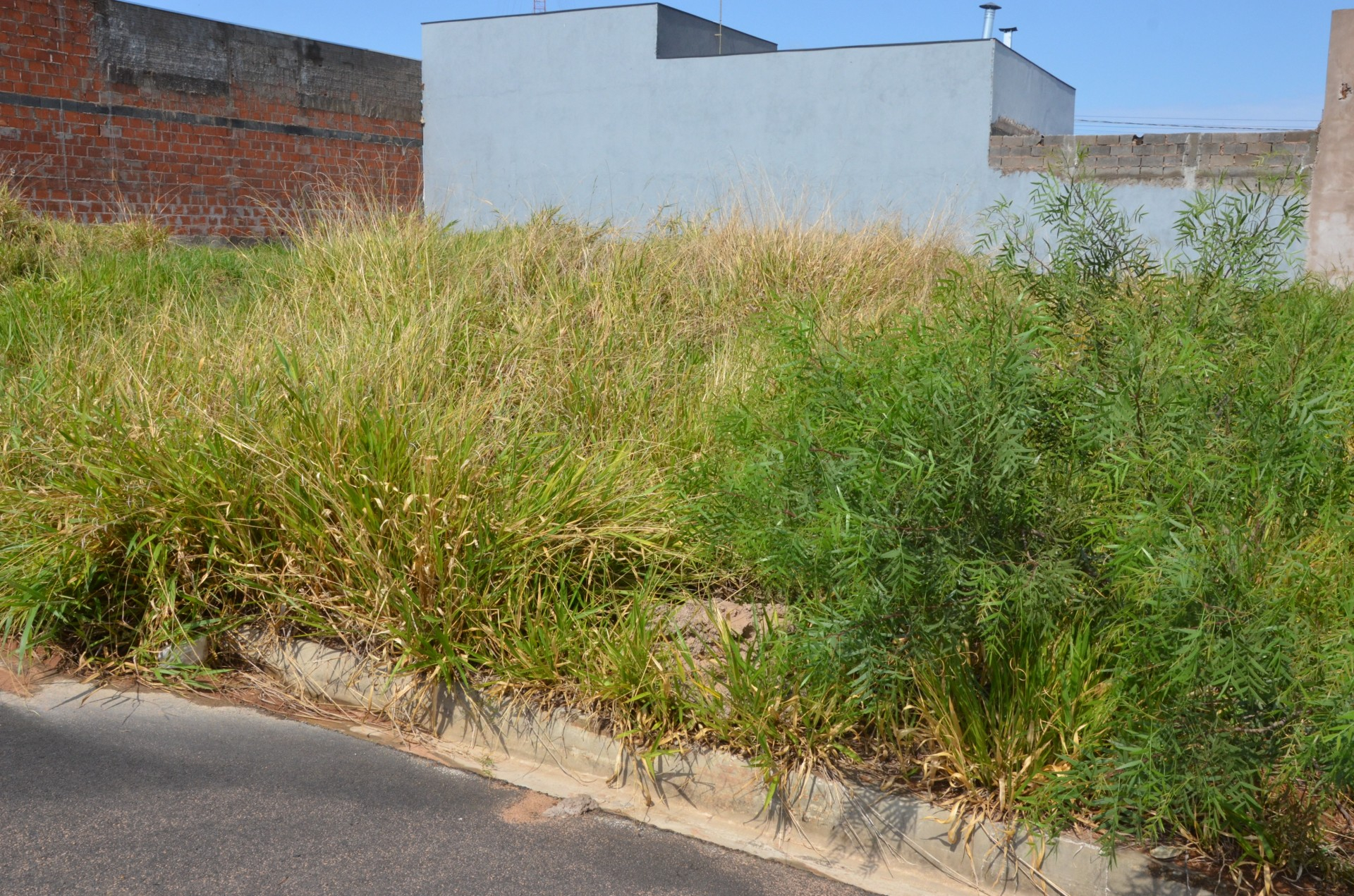 Vigilância intima novos proprietários para limpeza de terrenos