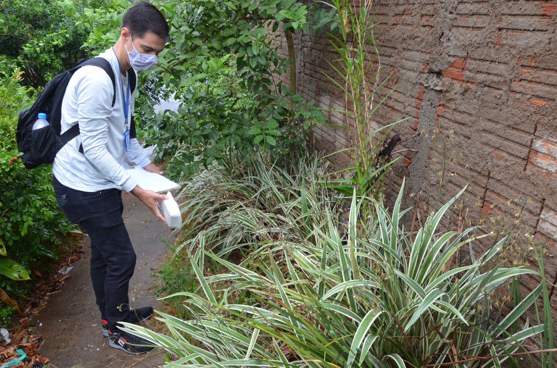 Vigilância conclui Avaliação de Densidade Larvária