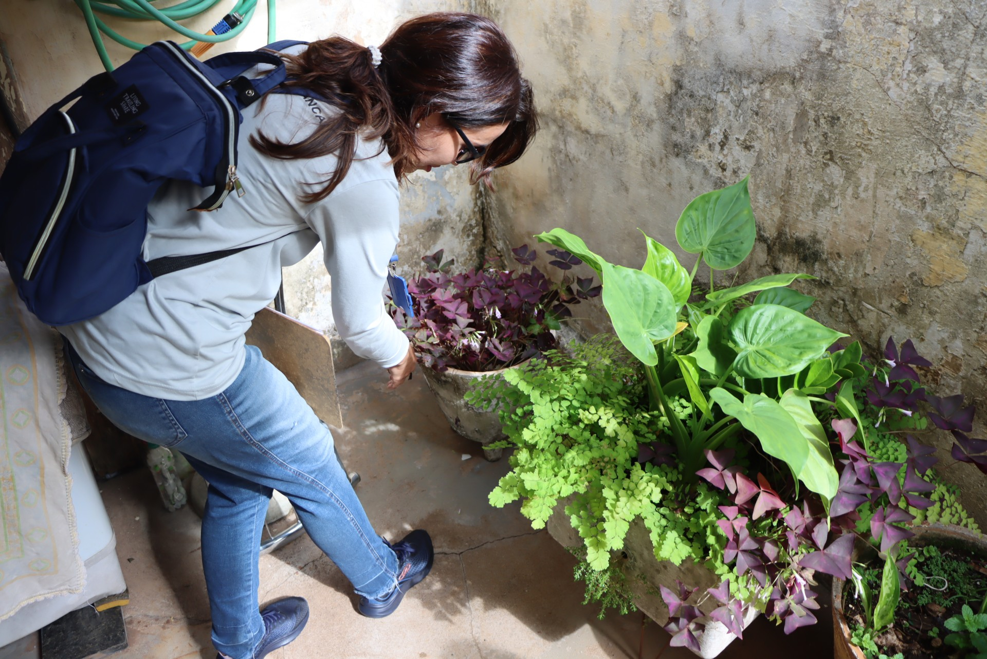 Saúde segue com ações de combate ao mosquito da dengue