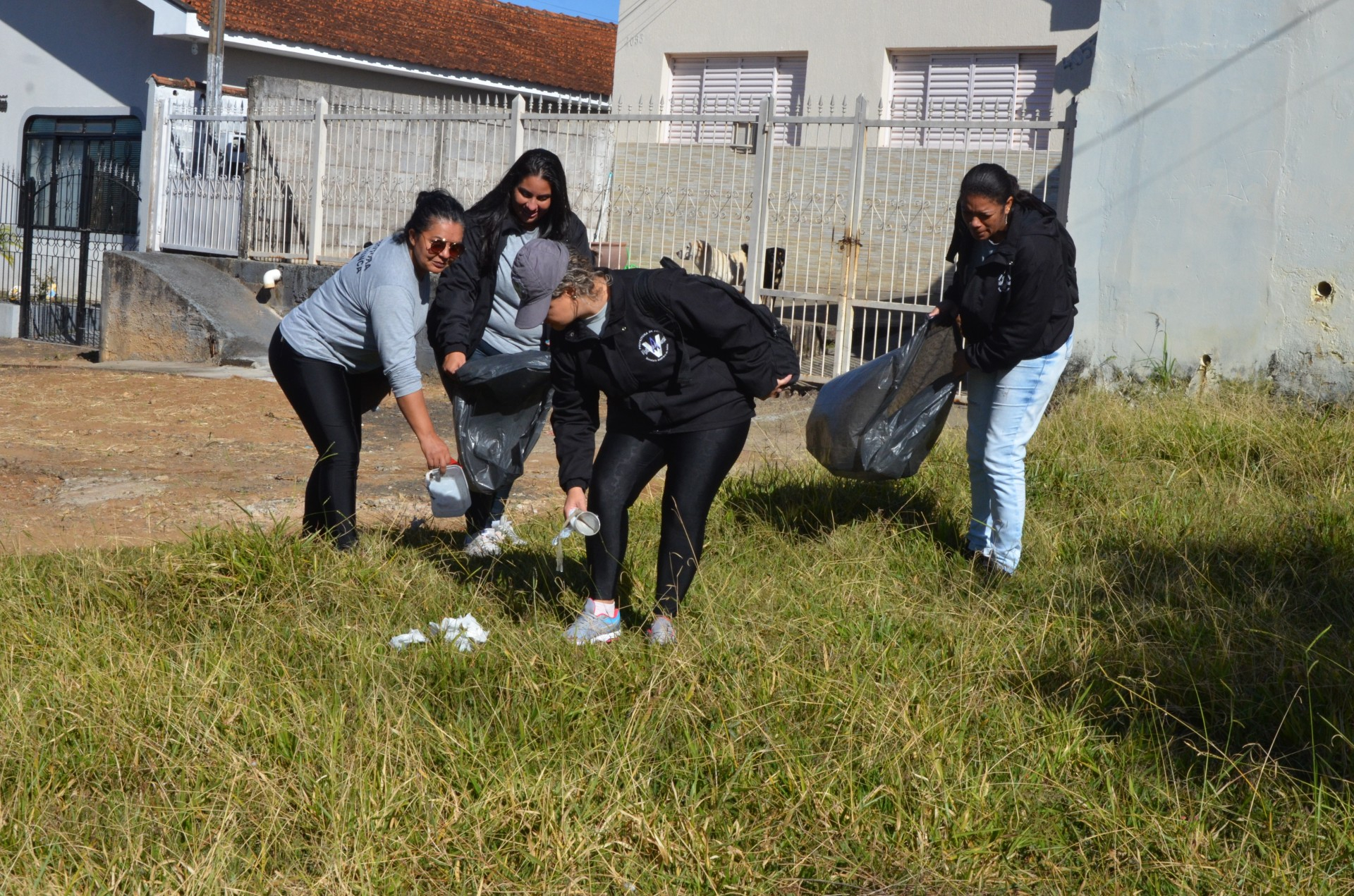 Saúde amplia ações de combate à dengue