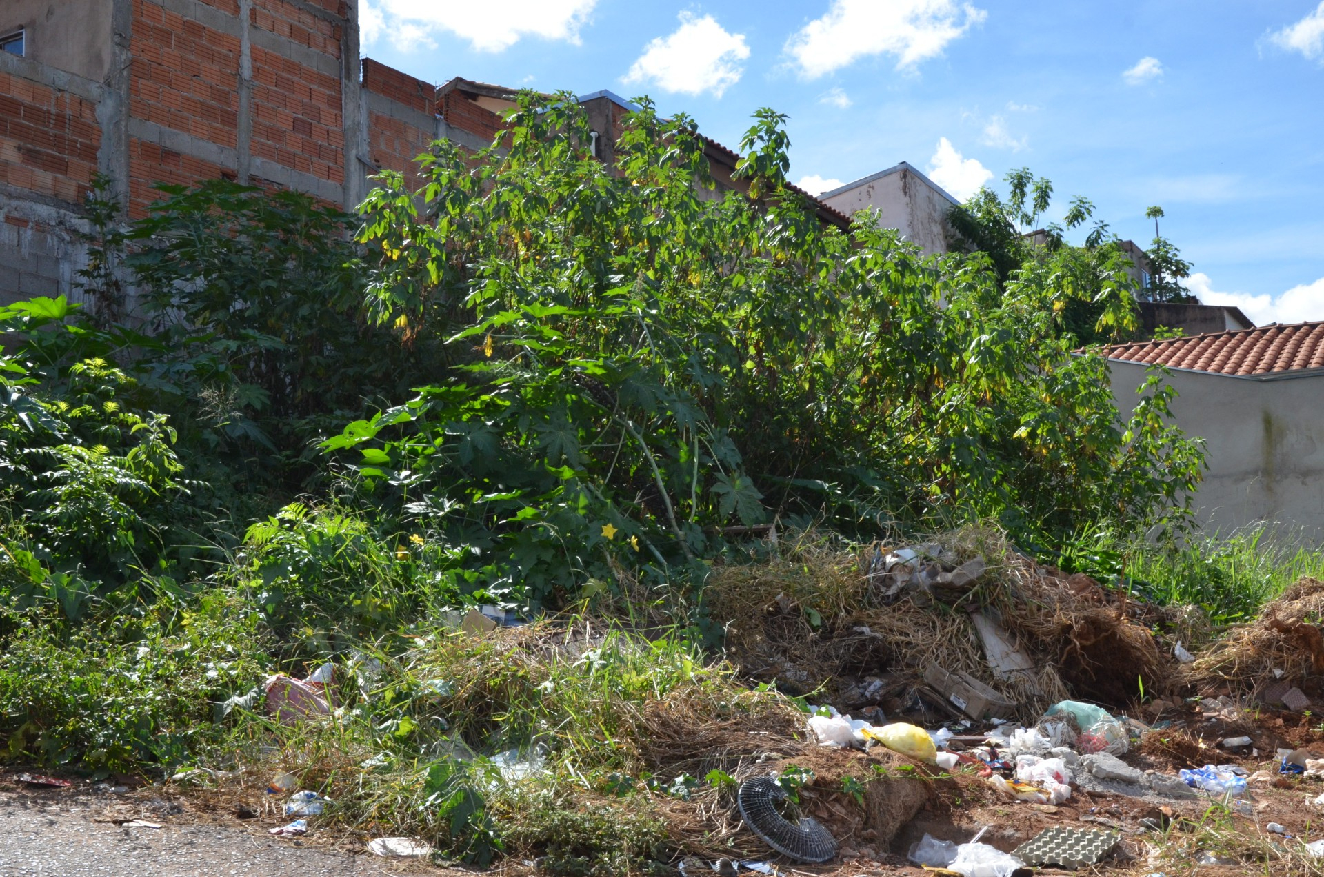 Vigilância notifica proprietários de mais de 180 terrenos para limpeza