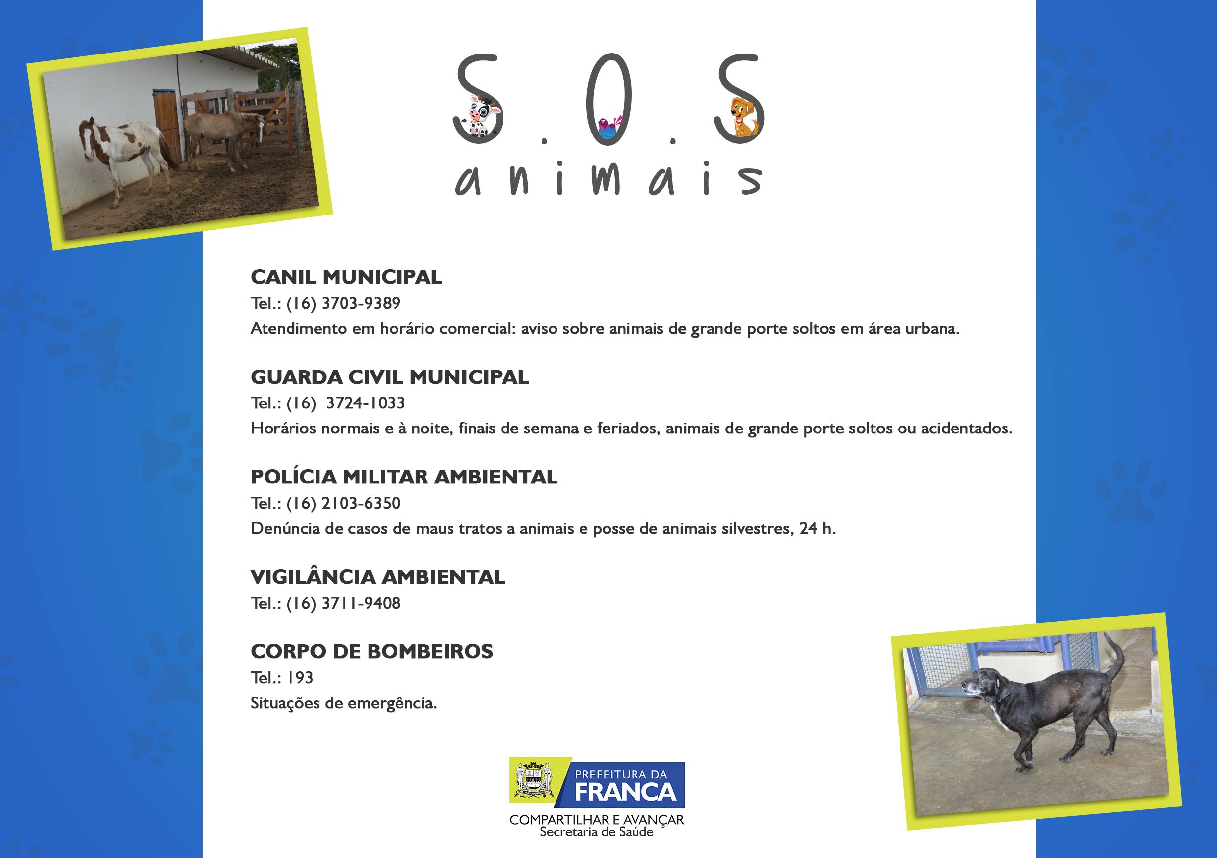 SOS Animais